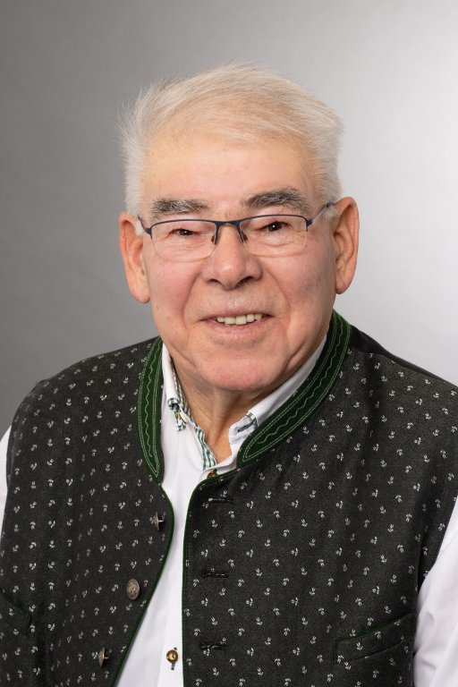 Ludwig Wimmer